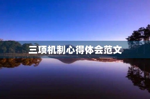 三项机制心得体会范文