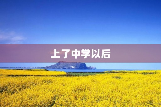 上了中学以后，我的生活发生了很大的变化