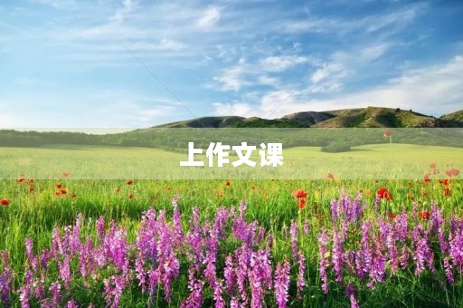 上作文课