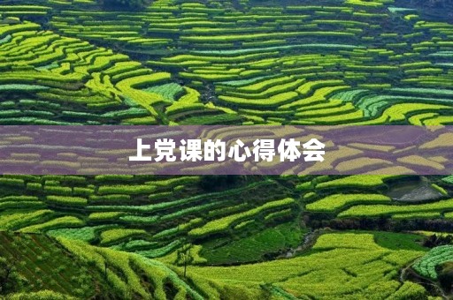 上党课的心得体会 上党课的心得体会