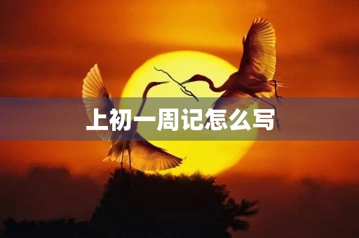 上初一周记怎么写 上初一周记怎么写
