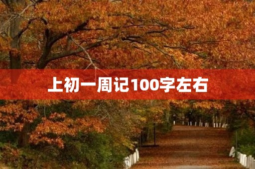 上初一周记100字左右