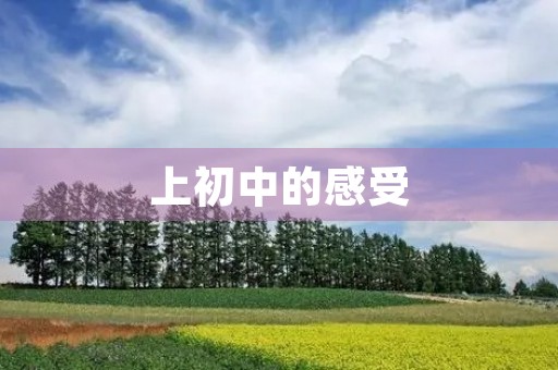 上初中的感受 上初中的感受