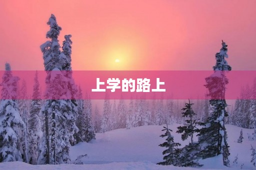 上学的路上，我看到了什么？