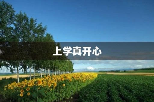 上学真开心