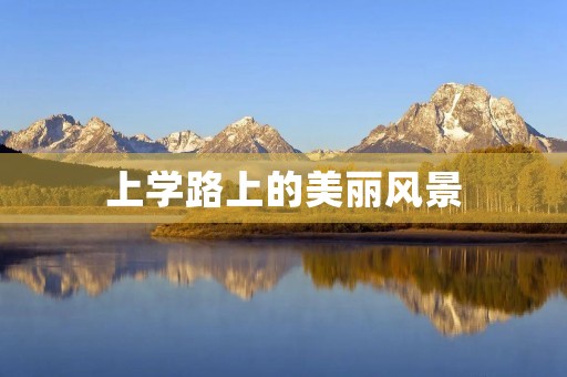 上学路上的美丽风景