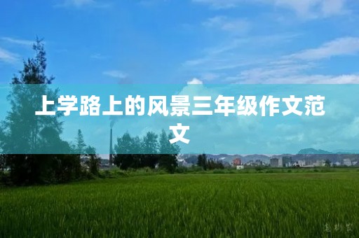 上学路上的风景三年级作文范文