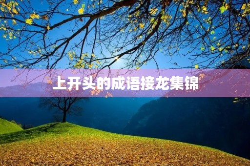 上开头的成语接龙集锦
