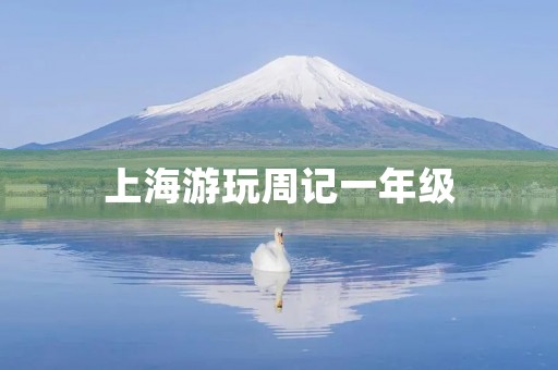 上海游玩周记一年级 上海游玩周记一年级