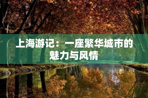 上海游记：一座繁华城市的魅力与风情