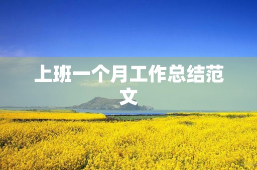 上班一个月工作总结范文