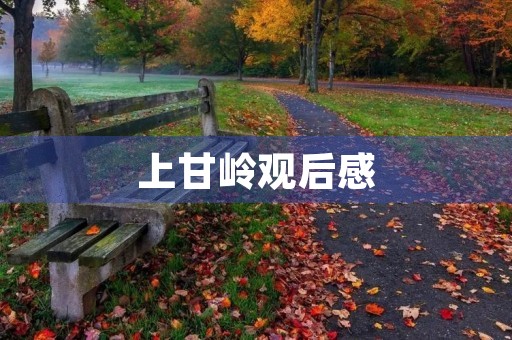 上甘岭观后感