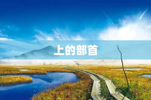 上的部首(上的拼音) 上的部首(上的拼音)