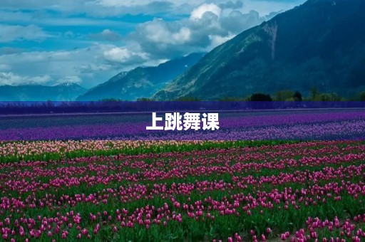上跳舞课