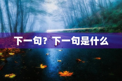 下一句？下一句是什么