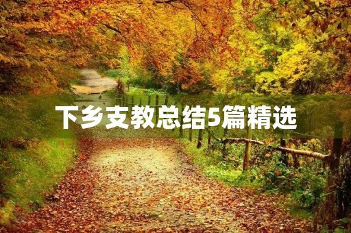 下乡支教总结5篇精选