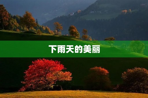 下雨天的美丽