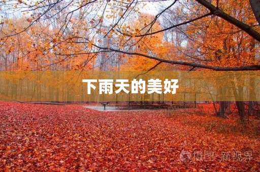 下雨天的美好