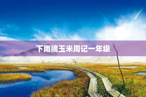 下雨摘玉米周记一年级 下雨摘玉米周记一年级
