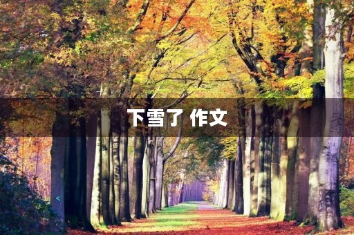 下雪了 作文