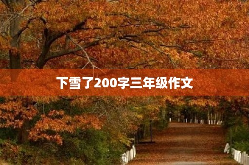 下雪了200字三年级作文 下雪了200字三年级作文