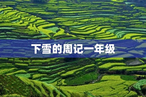 下雪的周记一年级