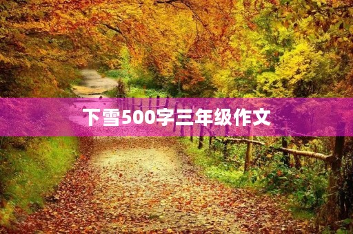 下雪500字三年级作文 下雪500字三年级作文