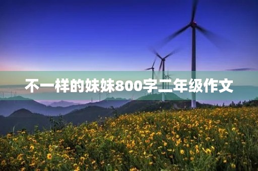 不一样的妹妹800字二年级作文