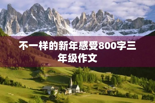 不一样的新年感受800字三年级作文 不一样的新年感受800字三年级作文