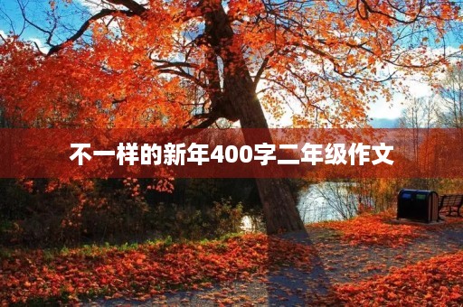 不一样的新年400字二年级作文