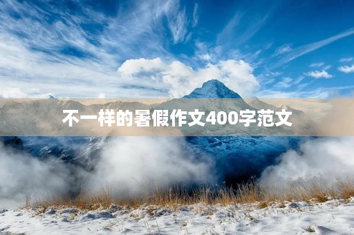 不一样的暑假作文400字范文