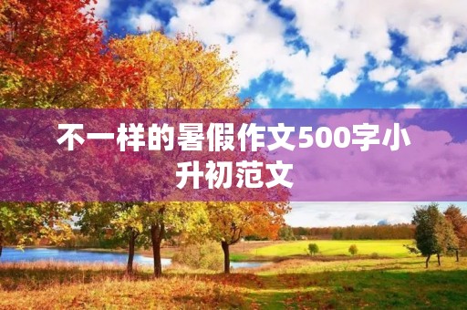 不一样的暑假作文500字小升初范文
