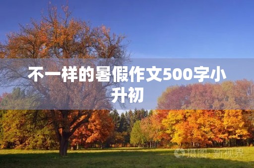 不一样的暑假作文500字小升初 不一样的暑假作文500字小升初