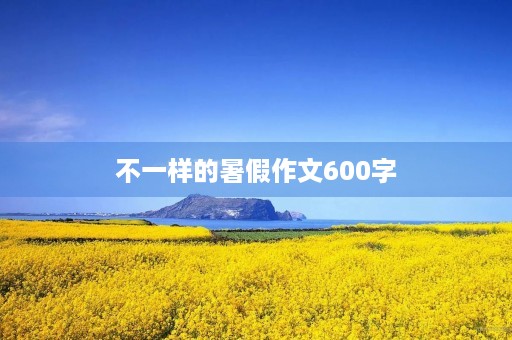 不一样的暑假作文600字