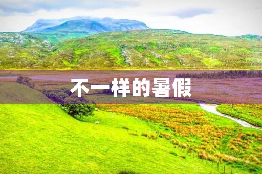 不一样的暑假
