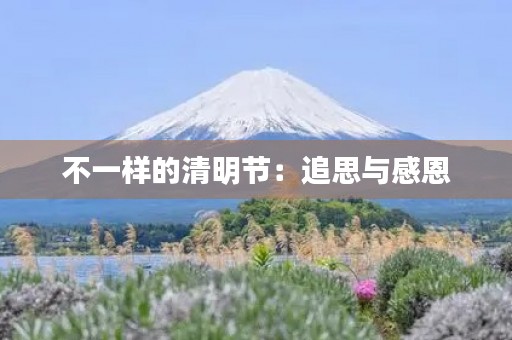 不一样的清明节：追思与感恩