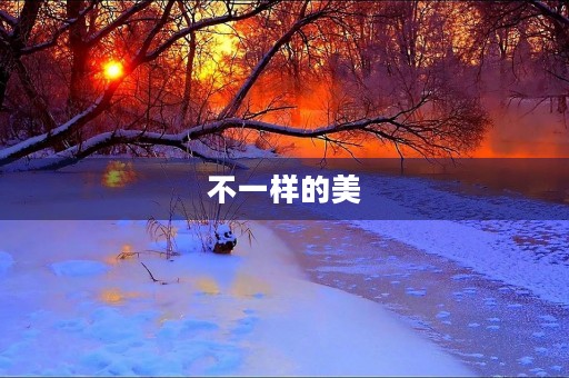 不一样的美 不一样的美