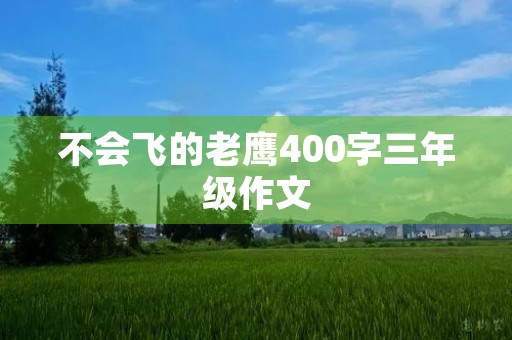 不会飞的老鹰400字三年级作文
