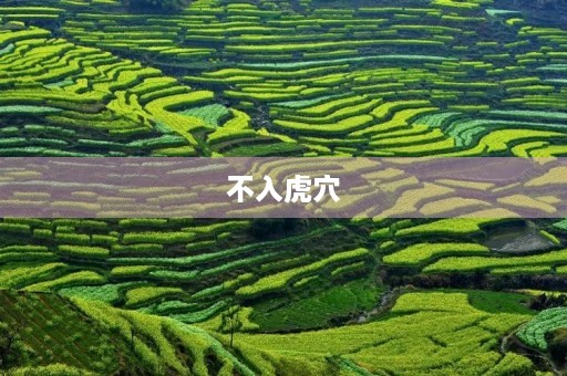 不入虎穴，不得虎子成语故事