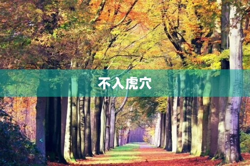 不入虎穴,焉得虎子成语故事 不入虎穴,焉得虎子成语故事