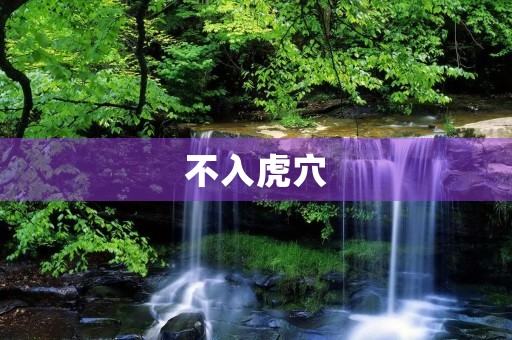 不入虎穴，焉得虎子是什么意思
