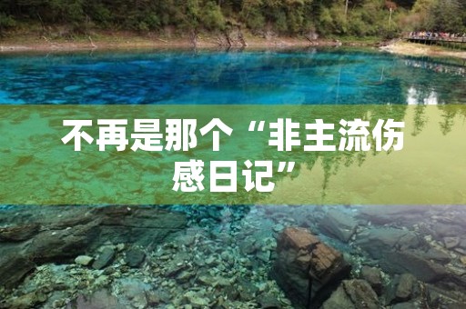 不再是那个“非主流伤感日记” 不再是那个“非主流伤感日记”