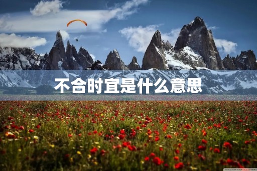 不合时宜是什么意思