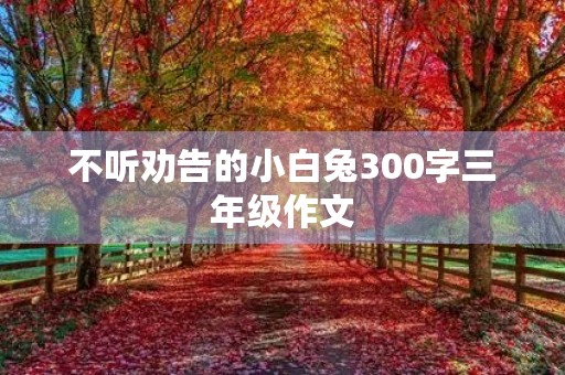 不听劝告的小白兔300字三年级作文