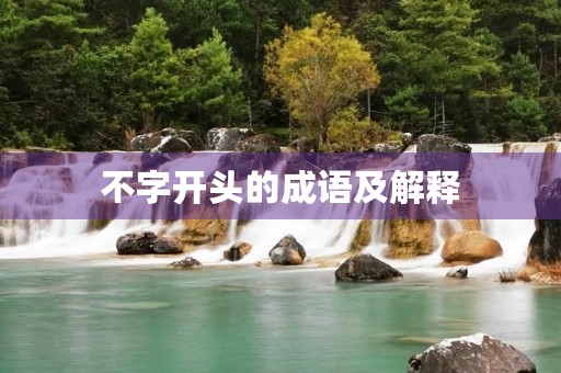 不字开头的成语及解释
