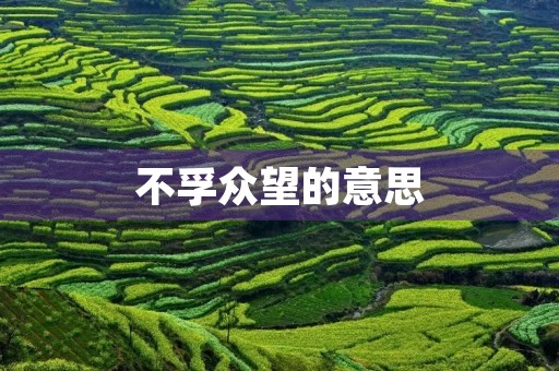 不孚众望的意思(不孚众望的意思) 不孚众望的意思(不孚众望的意思)