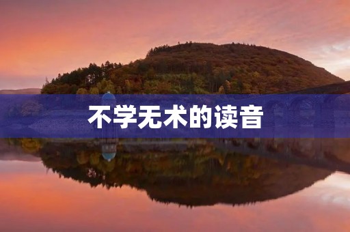 不学无术的读音