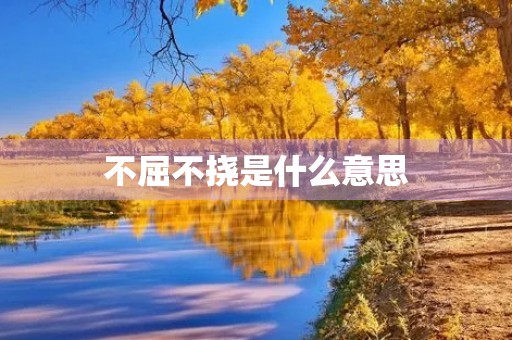 不屈不挠是什么意思 不屈不挠是什么意思