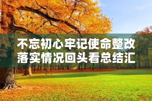 不忘初心牢记使命整改落实情况回头看总结汇报精选5篇