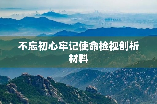 不忘初心牢记使命检视剖析材料 不忘初心牢记使命检视剖析材料